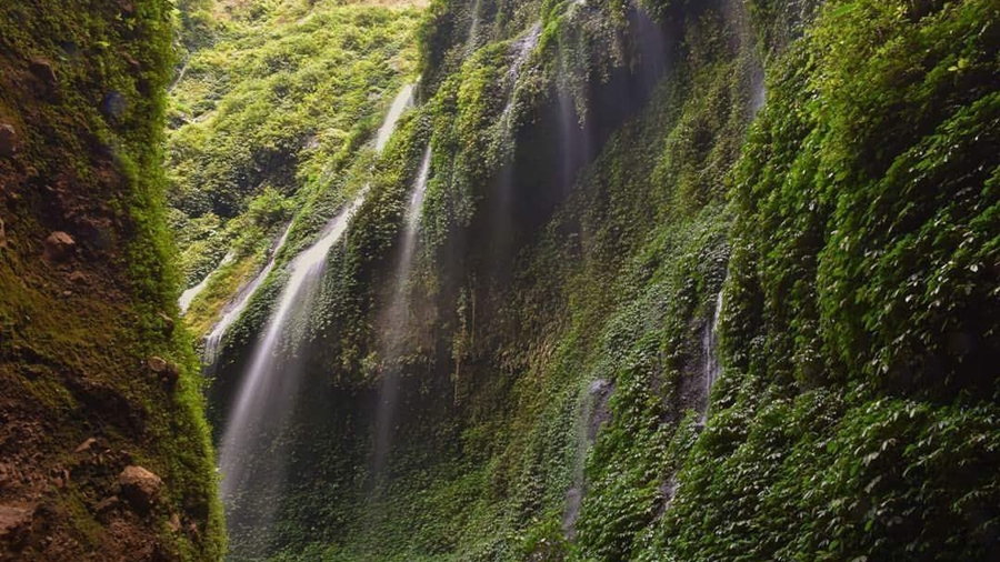 Mount Semeru Trekking Package