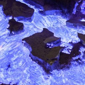 ijen tour from malang surabay bali1