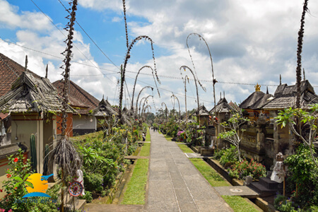 from Bali to Ijen Bromo Yogyakarta