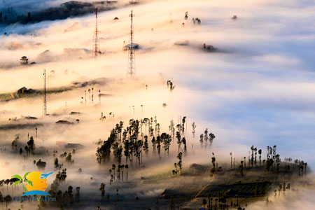 Bali To Ijen Crater