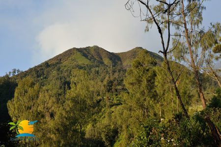 Tour of Ijen